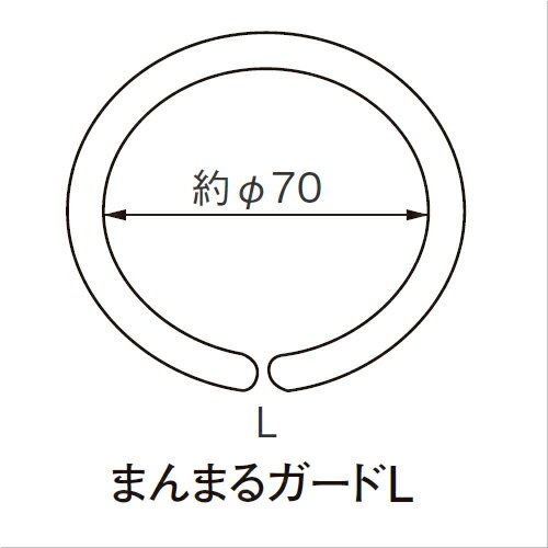 å쥹С ޤޤ륬L ꡼
