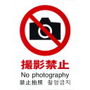 光 多国語ピクトサイン 撮影禁止 1枚 (TGP20322)