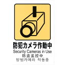 光 多国語ピクトサイン 防犯カメラ作動中 1枚 (TGP20328)