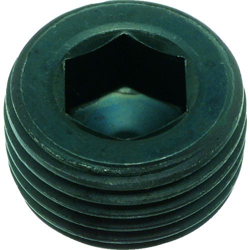 【SS限定 38万商品以上10%OFF】 TRUSCO　テーパー沈みプラグ　SP2（スチール）　黒染め　PT1／2　6個入　1Pk (Y10820112)