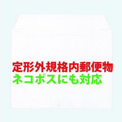 キングコーポ ビジネスバッグ 小100枚入（310×225） 1箱 (KBB008)