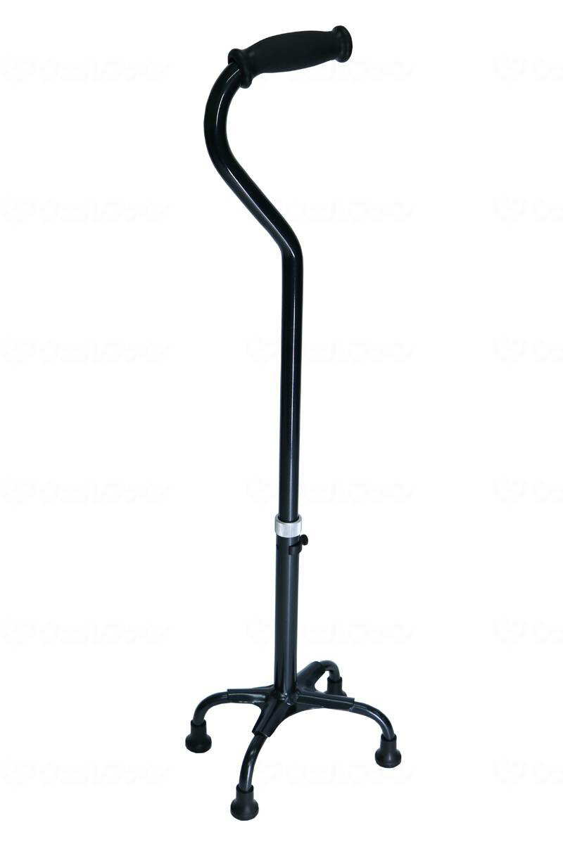 田辺プレステトラ・ケイン α 青墨 S