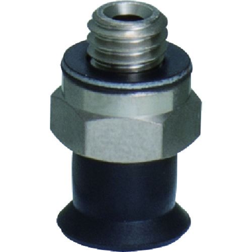 PISCO���Х��塼��ѥåɥ���������ɥ����ס�ľ�շ������꼰��1�� (VPE6RNM5)