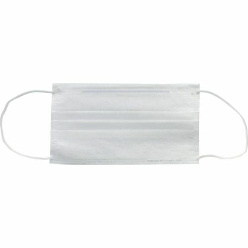 TRUSCO 作業用マスク（耳掛けタイプ）2層 （100枚入） 1箱 (TEM2L100)