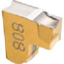 イスカル タンググリップ チップ TAG R/L−J/JS IC808 10個 (TAGR2JS15D)(4)