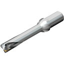 SANDVIK コロドリルDS20刃先交換式ドリル(465) 1本 (DS20D2600L3205)(4)