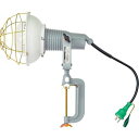 NICHIDO レフ球投光器 100V 300W 0.3m アース付 1台 (AFE300100V)