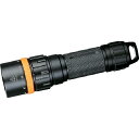 FENIX 【売切廃番】LEDライト 1個 (SD11)