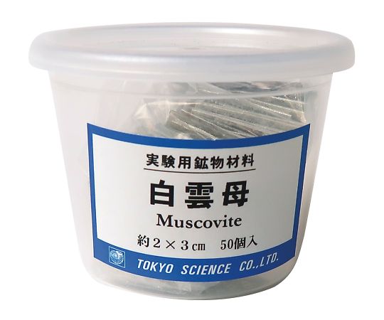 【SS限定 38万商品以上10%OFF】 実験用鉱物材料(ケース入り) 白雲母 1セット