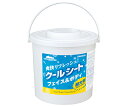 クールリフレ70枚 本体 42411 1本(70枚入)
