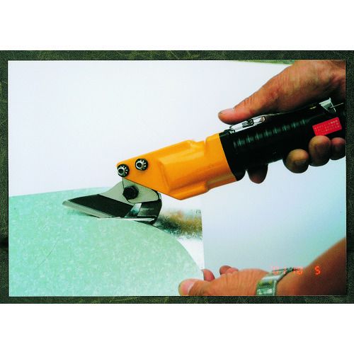 �ʥ��롡�ץ졼�ȥ��㡼����PSH10��1�� (PSH10)