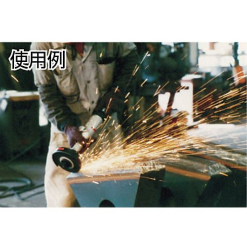 ����Ĺ�������ȥ졼�ȥ��饤�����1�� (FG3HL1)