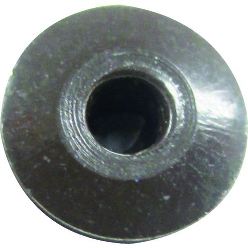 ���ӡ����顼�֥饤��ɥ�٥åȡʥ֥��󥺡ˡ�����ߡ����ƥ���������4��3��65�����ˡ������ѥå���1Pk (CNSA43BRMP)