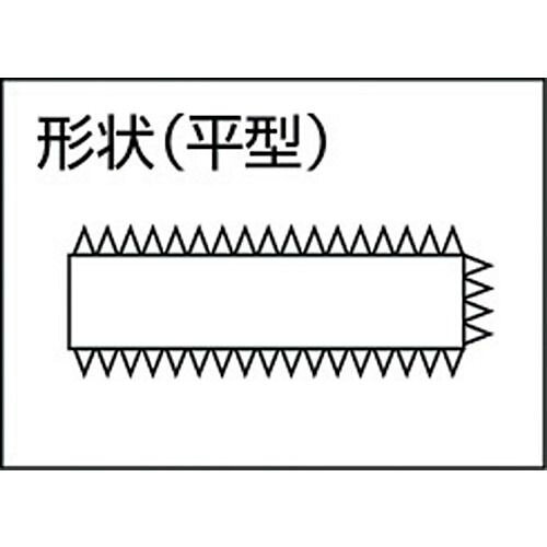 【期間限定!対象商品P2〜20倍】 TRUSCO　鉄工用ヤスリ　平　荒目　刃長300　1本 (T...