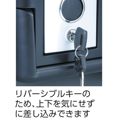 【全商品 ポイント10倍中】 エーコー　耐火・防水プロテクターバック　2013　1台 (...
