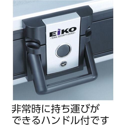【全商品 ポイント10倍中】 エーコー　耐火・防水プロテクターバック　2013　1台 (...