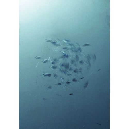 �ڴ��ָ���!�оݾ���P2��20�ܡ� OH���ե�å��Ķ�ϥ�ޡ������¡ʽĥʥ饷�ˡ�3��4��1�� (FBTS07)