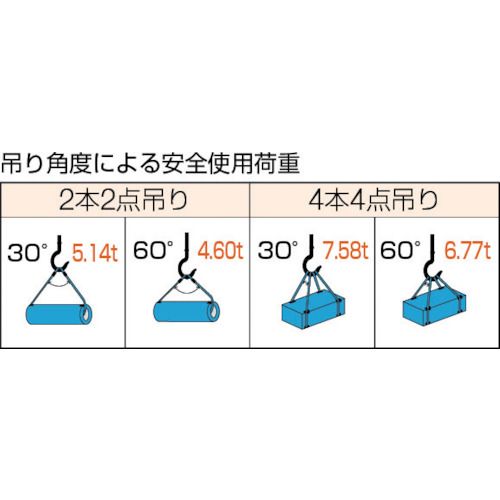 【期間限定!対象商品P2〜20倍】 TRUSCO　Wスリング　Aタイプ　18mmX2．5m　1本 (GR...