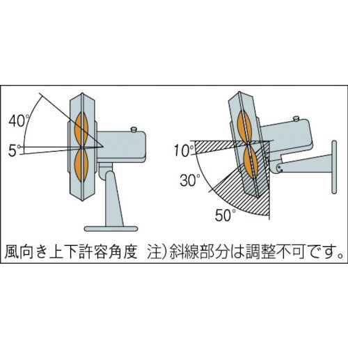 【期間限定!対象商品P2〜20倍】 Suiden　ウォール扇　無段階変速プラスチックハネ　単相100V　1台 (SF45MV1VP) 3