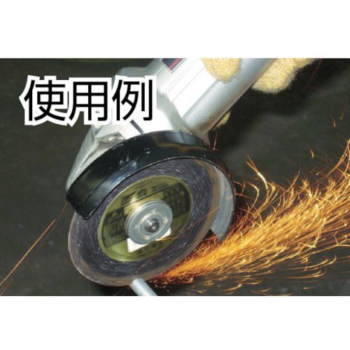 �ٻΡ���ʪ����������Ļ����ॴ�����305mm��10�� (RSG305)