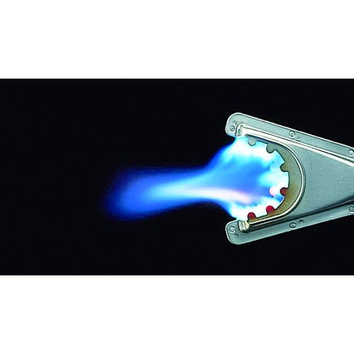 PRINCE�������ȡ������ե쥭���֥�ȡ������ϥ��ѡ����겹��800��2100�ȯǮ��3396kcal��h��1�� (FTH)