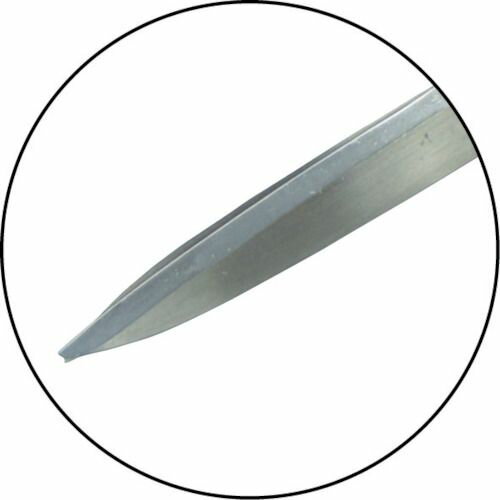 ��ŵ����������������ե��ƥ�쥹�����������1�� (A16)