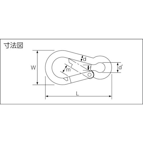 福祉用具のバリューケアの【期間限定!対象商品P2〜20倍】 TRUSCO　国産ステンレスカラビナハーケン　B型　6X60mm　1個 (TSKH6B)｜アングル3