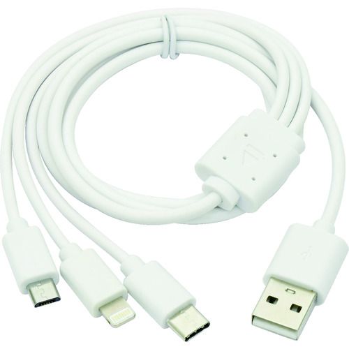 NICHIDO�����󥸥󥹥����������ӥå��Х�F1��1�� (AS1224JSS)