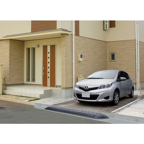 IRIS��529434���������ʺ��ץ졼�ȡ�1�� (GDP45C)