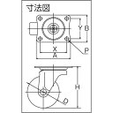 TRUSCO TYGシリーズ 自在 ナイロン車 25mm 1個 (TYGNY-25)