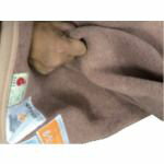 �ƥ����󡡶۵��ɺ����ۡȤ⤦���󤫡ɡ���140cm�߱���200cm��1�� (MT01)