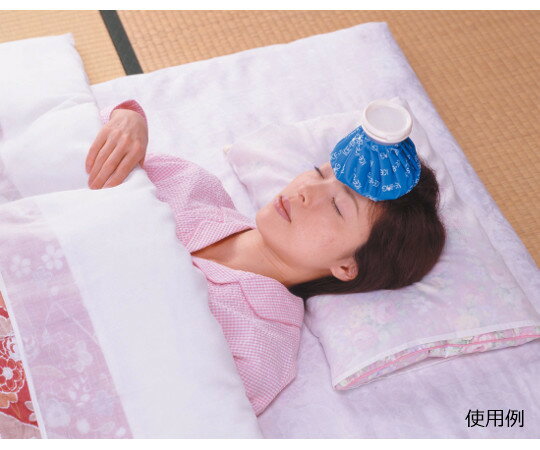 �ڴ��ָ���!�оݾ���P2��20�ܡ� �ϥ�ǥ�ɹ�Τ� �������� F1210 1��