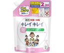 キレイキレイ 薬用泡ハンドソープ つめかえ用大型サイズ 450ML 1個
