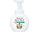 キレイキレイ 薬用泡ハンドソープ ポンプ 250ML 1本(4)