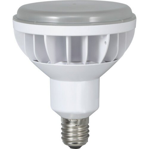 ハタヤ　40WLED作業灯　交換球　1個 (LDR40NH110)