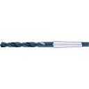 GUHRING ハイスドリル レギュラ ホモ処理 16.3mm 1本 (24516.300)