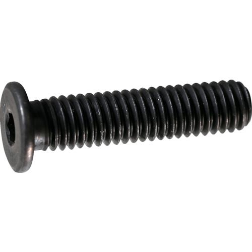 Tiles, Bricks - 【期間限定!対象商品P2〜20倍】 TRUSCO　超低頭キャップボルト　スチール黒染め　M3×10　9本入　／六角穴付ボルト（CAP）　　1Pk (Y1530310)