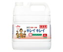 キレイキレイ 薬用泡ハンドソープ フルーツミックス 業務用 4L (2LT)245186 1本