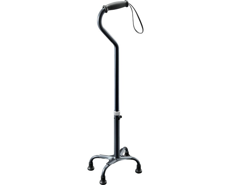 テトラ・ケインα / S 青墨 1本