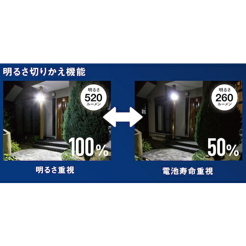 【期間限定!対象商品P2〜20倍】 RITEX　4．5W×2灯　ソーラー式シンプルスタイルセ...