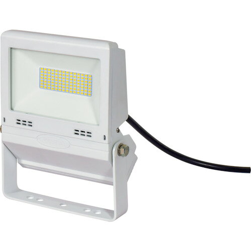 【期間限定!対象商品P2〜20倍】 NICHIDO　LED投光器　常設用フラットライト30W　白　1台 (LJSFH30DW50K)