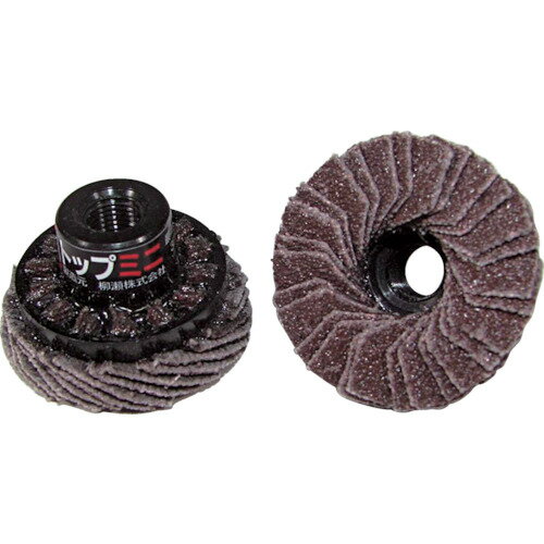 ヤナセ TOPミニディスク 30xM7xP0．75 ＃80 5個 (TOP30A5)