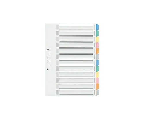 カラー仕切カード PP (ファイル用) A4縦 12山+扉紙 2穴 5組入 シキ-P100 1パック(5組入)