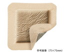 メピレックス(R)ボーダー Ag 100×100mm 5枚入 395300 1箱(5枚入)