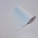記録紙(汎用タイプ) 112mm×20m CP-112-2 1巻(4)