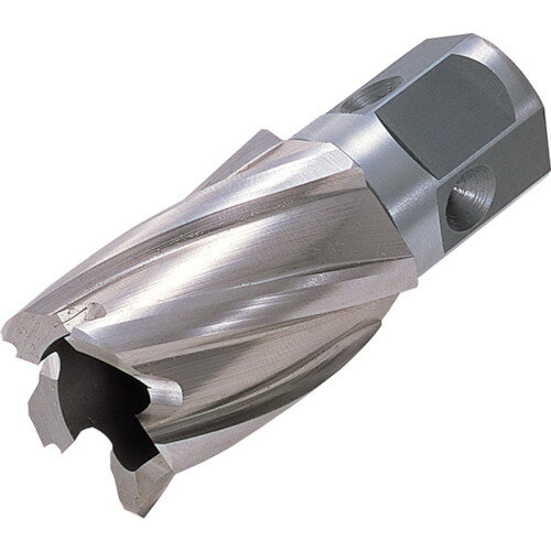 特長:●工具不要でワンタッチで刃物交換ができます。●下穴不要で穴あけスピードがツイストドリルの約3倍です。●アタッチメントによりボール盤/フライス盤/旋盤/NC旋盤/マシニングセンターなどに簡単に装着、使用可能です。 用途:●被削材:軟鋼材。 仕様:●刃径(mm)：24.5●適合機種：日東工器製：アトラエースクイックオート、アトラエース●最大加工板厚(mm)：25 仕様2:●適合パイロットピン：NO.08025 材質／仕上:●高速度鋼（HSS）特長:●工具不要でワンタッチで刃物交換ができます。●下穴不要で穴あけスピードがツイストドリルの約3倍です。●アタッチメントによりボール盤/フライス盤/旋盤/NC旋盤/マシニングセンターなどに簡単に装着、使用可能です。 用途:●被削材:軟鋼材。 仕様:●刃径(mm)：24.5●適合機種：日東工器製：アトラエースクイックオート、アトラエース●最大加工板厚(mm)：25 仕様2:●適合パイロットピン：NO.08025 材質／仕上:●高速度鋼（HSS）