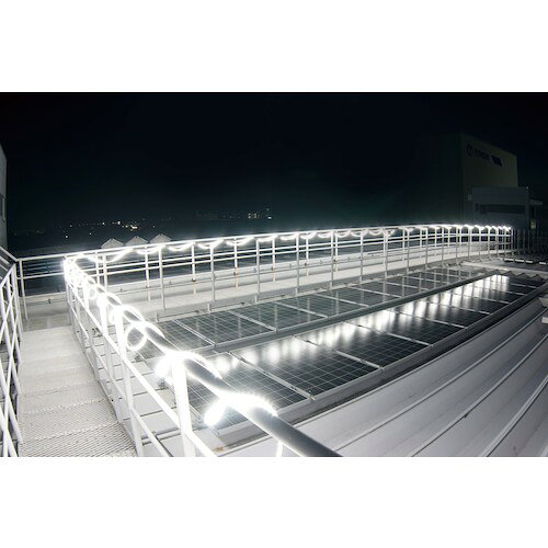 【期間限定!対象商品P2〜20倍】 ハタヤ　LEDテープライト両面発光タイプ（10m）単...
