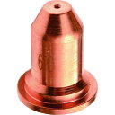 SUZUKID チップ 0.6 10個入 1Pk (P778)