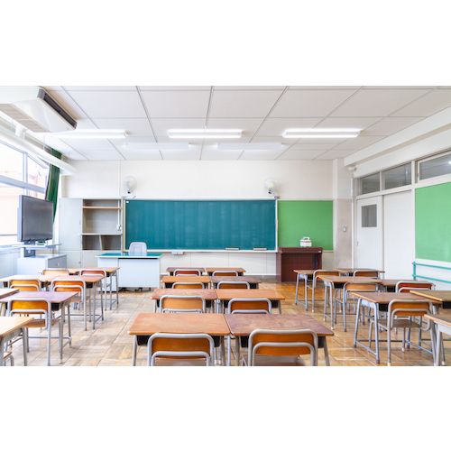 CAT����������졼������35cm���ɡ��������סˡ�����������1�� (HVD14ACDO)