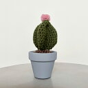 C Yarn Hut(シーヤーンハット) クロシェカクタス ルビーボール L 1個